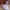Casual Sneakers Kids multicolor photo 1