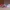 Casual Sneakers Kids multicolor red photo 4