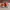 Casual Sneakers Kids multicolor red photo 3