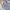 Carpenter bagy jens tomy hilfiger photo 6