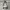 Slingbag kanvas white casual photo 4