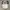 Slingbag kanvas white casual photo 5
