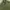 JACKET Coat Man's Combat Tropical Canvas Army photo 3