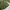 JACKET Coat Man's Combat Tropical Canvas Army photo 6