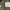 JACKET Coat Man's Combat Tropical Canvas Army photo 5