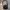 Slingbag le coq sportif waistbag lecoqsportif photo 4