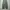 Lugnoncure Green Baggy Pants. photo 1