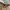 Oakley scar 2001 matte black (ruby) photo 3