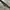 Oakley scar 2001 matte black (ruby) photo 5