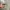 Oakley Scar 2001 Matte Black (ruby)