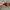 Oakley scar 2001 matte black (ruby) photo 8