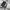 Daks Casual Minimalist Harrington jacket Pria white photo 3