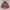 Phenix Streetwear Vintage Windbreaker Pria burgundy photo 5