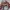 Phenix Streetwear Vintage Windbreaker Pria burgundy photo 7