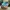 Sepatu Running Asics GEL NIMBUS 26 BRIGHT CYAN photo 1
