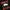 STRAY RATS RODENTICED PIXEL photo 3
