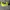Nike AF1 utility volt series photo 2