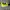 Nike AF1 Utility Volt Series