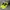 Nike AF1 utility volt series photo 3