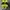 Nike AF1 utility volt series photo 5