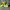 Nike AF1 Utility Volt Series