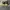 Nike air jordan low x travis scott dark mocha 'jack cactus' photo 5