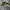 Nike air jordan low x travis scott dark mocha 'jack cactus' photo 2