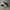 Nike air jordan low x travis scott dark mocha 'jack cactus' photo 4