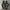 Nike air jordan low x travis scott dark mocha 'jack cactus' photo 6