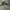 Nike air jordan low x travis scott dark mocha 'jack cactus' photo 3