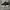 Under Armour Project Rock 5 Black White grey photo 3