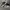 Under Armour Project Rock 5 Black White grey photo 1
