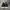 Under Armour Project Rock 5 Black White grey photo 2