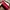 Red Bag (Prior) photo 2