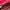 Red Bag (Prior) photo 8