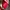 Red Bag (Prior) photo 5