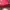 Red Bag (Prior) photo 7
