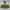 Ellesse Streetwear Vintage Windbreaker Pria green cream photo 2