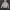 Hoodie WHO  photo 1