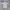 JERSEY JERMAN photo 1