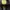 Boots dickies boots timberland yellow icon photo 8