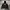 Hoodie LMC photo 3