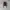 Backpack Fossil Genuine Leather Mix Cotton photo 1