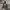 Hoodie Dickies 1922 photo 1