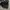Nike Sportsweat Short Pants 2 Layers photo 7