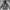 Hoodie dickies Velvet since 1922 grey photo 1