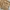 Coquette Minimalist Sweater Wanita Tan Khaki