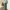 L*ve wideleg baggy grey snow made in Korea loose fit photo 2