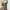 L*ve Wideleg Baggy Grey Snow Made In Korea Loose Fit