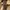 dr martens isham brown seasoning photo 7